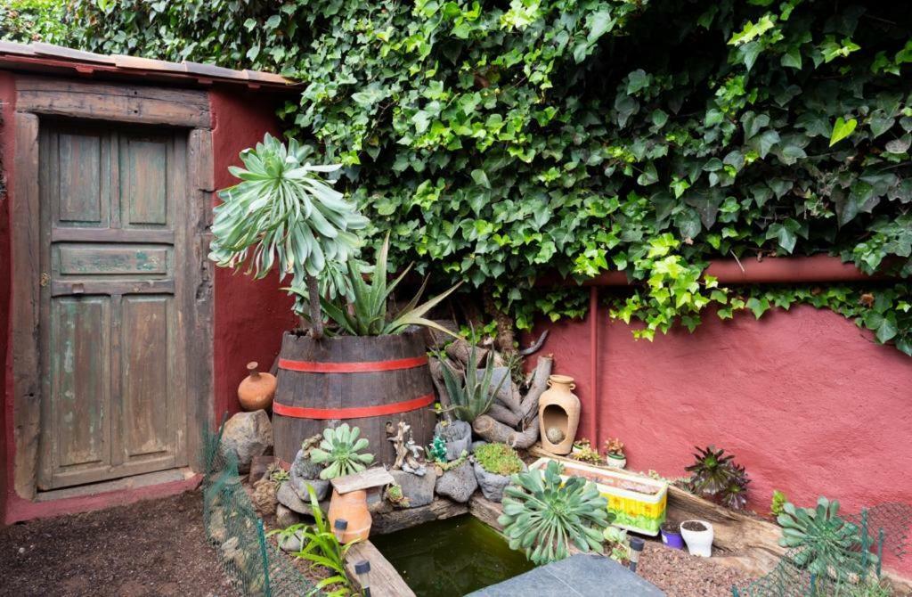 Casa Florida Daire La Orotava Dış mekan fotoğraf