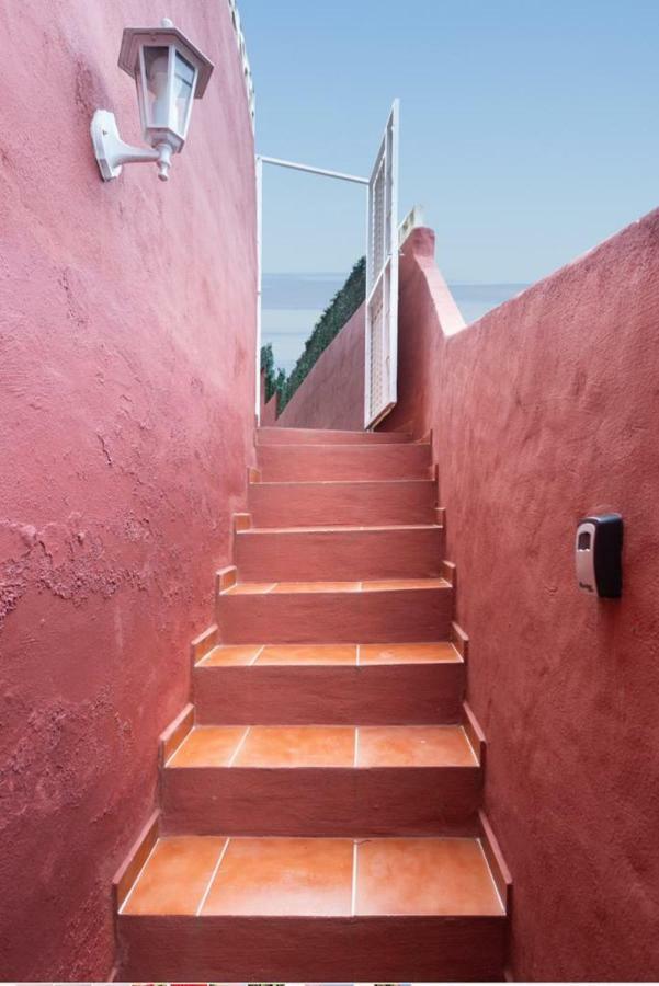 Casa Florida Daire La Orotava Dış mekan fotoğraf